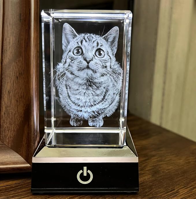 3D Crystal Photo, Personalized Dog, Cat Memorial Gifts for Pet Owners. Gift Box Included, Customized Laser Etched Crystal Photo (Small Portrait)
