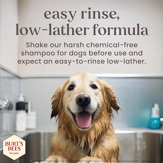 Burt’s Bees for Pets Deodorizing Dog Spray with Manuka Honey and Charcoal for Dogs - Naturally Derived Ingredients, Formulated Without Artificial Fragrances, Sulfates, Colorants, 10 Fl Oz