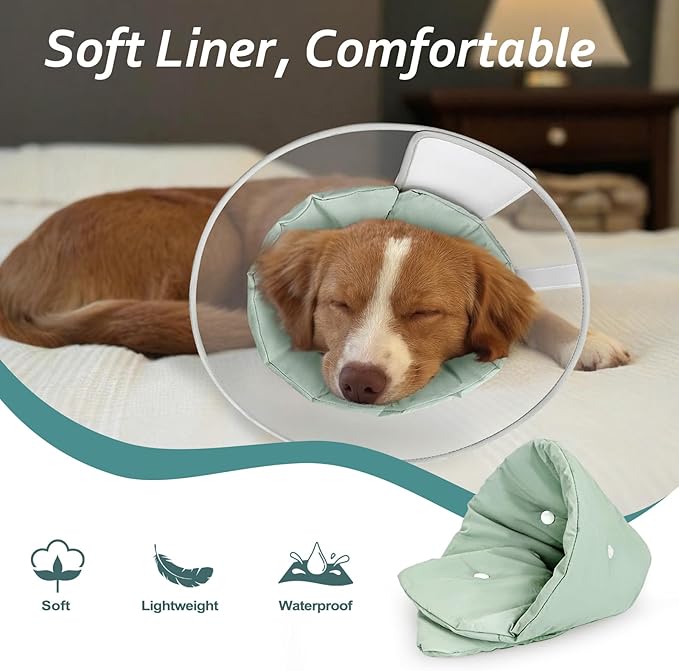 Dog Cone Collar with Snap-on Detachable Soft Liner, Lightweight Transparent Elizabethan Alternative to Stop Licking, for Spay Neuter Surgery Recovery, for Medium Large Small Dogs (Green,XS)
