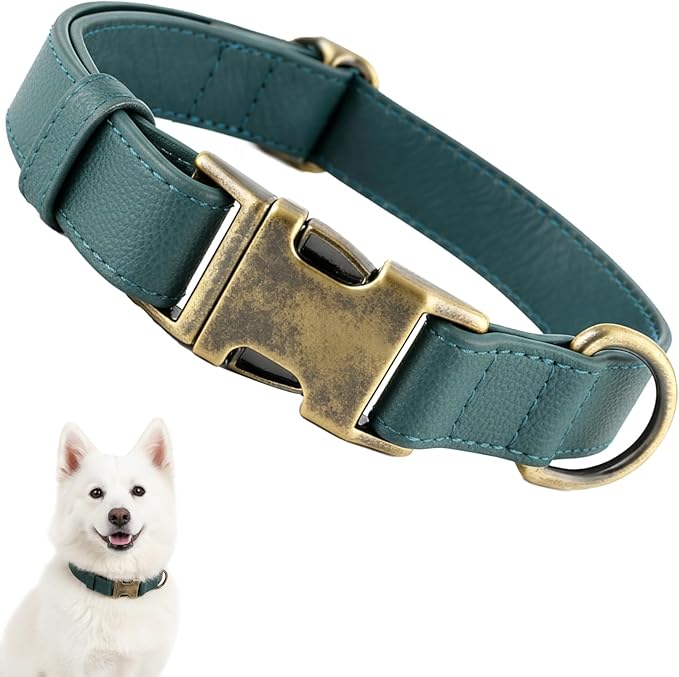 Silicone Dog Collar, Soft Flexible Leather-Look Dog Collars, Waterproof & Odor-Proof Puppy Collar for Small Dogs, Durable Thick Classic Adjustable Pet Collar (Green, Large (14.5-24" Neck))