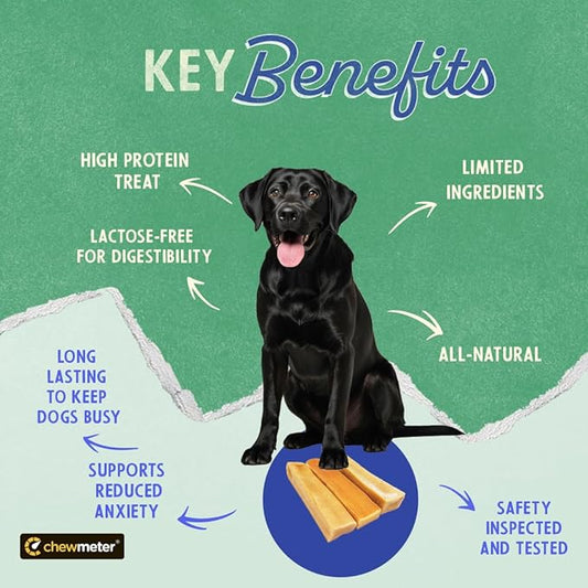 Chewmeter Himalayan Yaky Cheese Chew, 100% Natural, Long Lasting, Gluten Free, Healthy & Safe Dog Treats, Lactose & Grain Free, Protein Rich, Stain Free, Large, for Dogs 55 Lbs & Smaller, 3.3 oz