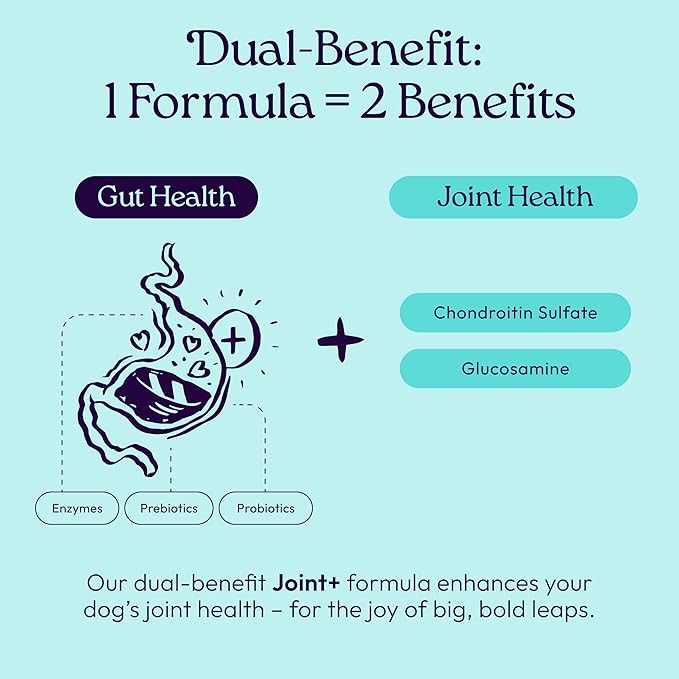 New! WellJoy Dog Treat Joint+ GutBoost | Glucosamine | Healthy Joints & Cartilage | Dual-Benefit GutBoost Formulation | Vet Formulated | Made in USA | Made with Real Shredded Chicken | 30 Soft Chews