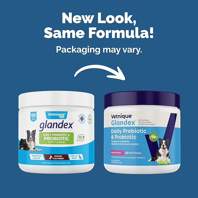 Vetnique Glandex Daily Probiotics for Dogs with Prebiotics to Support Gut Health with Fiber and Digestive Enzymes, Probiotic Chews or Powders (60ct Chews, Bacon Chews)