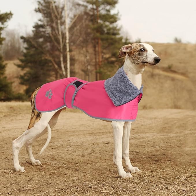 Geyecete Dog Winter Coat Geyecete Greyhound Raincoat Fabric with Lamb Velvet Inside Outdoor Dog Apparel with Adjustable Bands for Medium, Large Dog-Pink-XXXL