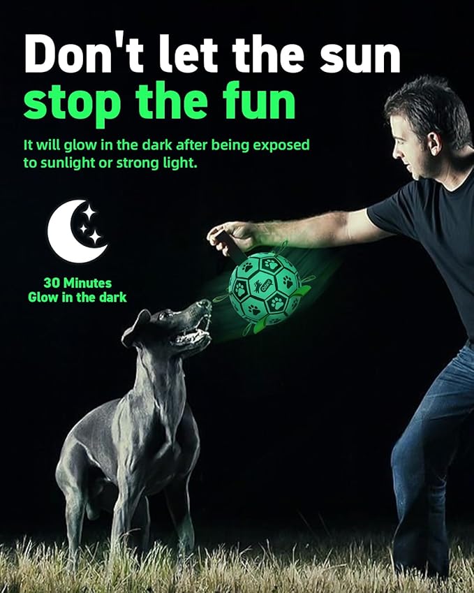 QDAN Premium Dog Ball, Glow in The Dark Dog Toys, Light Up Soccer Ball for Dogs, Outdoor Dog Toys, Doggy Water Toy, Puppy Birthday Gifts for Small Medium (6 Inch)