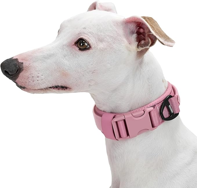 OneTigris Small Dog Collar with Handle, Soft and Adjustable Nylon Collar with Quick-Release Buckle, Lightweight No-Choke Design for Small Dogs(Pink, XS)