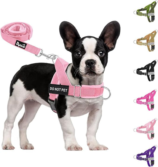 SlowTon No Pull Dog Harness - Heavy Duty Dog Harness and Leash Set for Medium Large Dogs, Reflective Tactical Harness with Soft Padded and Front Clip for Easy Walk and Training (PI, S)