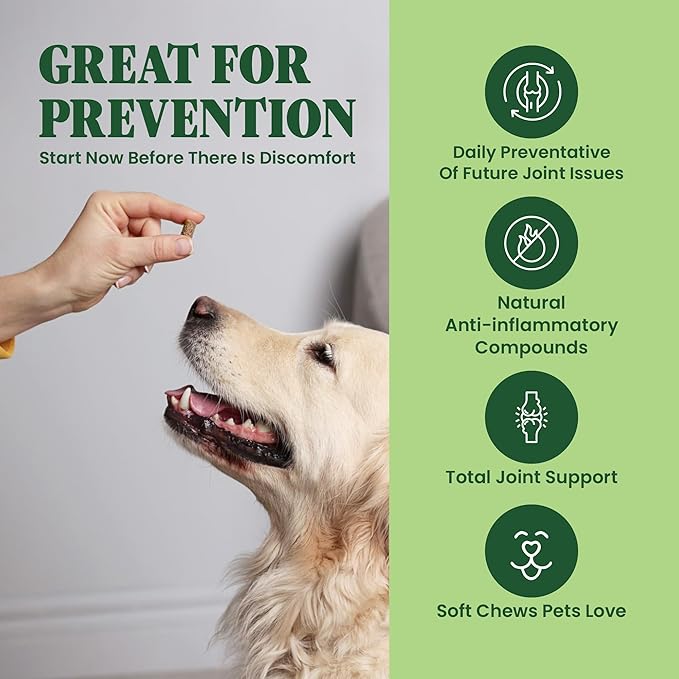 Special Breed Green Lipped Mussel for Dogs & Cats - 60 Soft Chews - New Zealand Green Lipped Mussels - Natural Hip & Joint Supplement for Joints, Tendons, Ligaments, Muscles