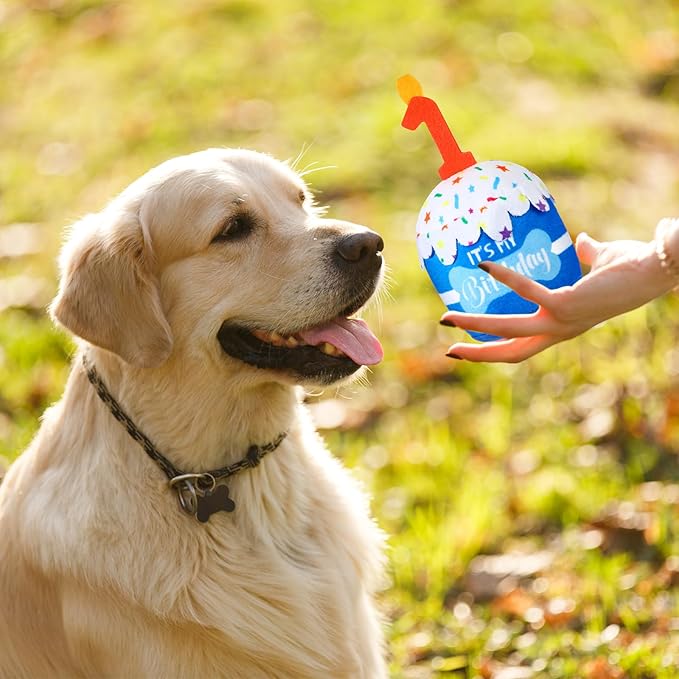 Dog Birthday Cake Toy Accessories for Girl Boy Gifts, Squeaky Plush Toy for Dog Birthday Party Decor Favor for Large, Medium and Small Dogs (1st,Blue)
