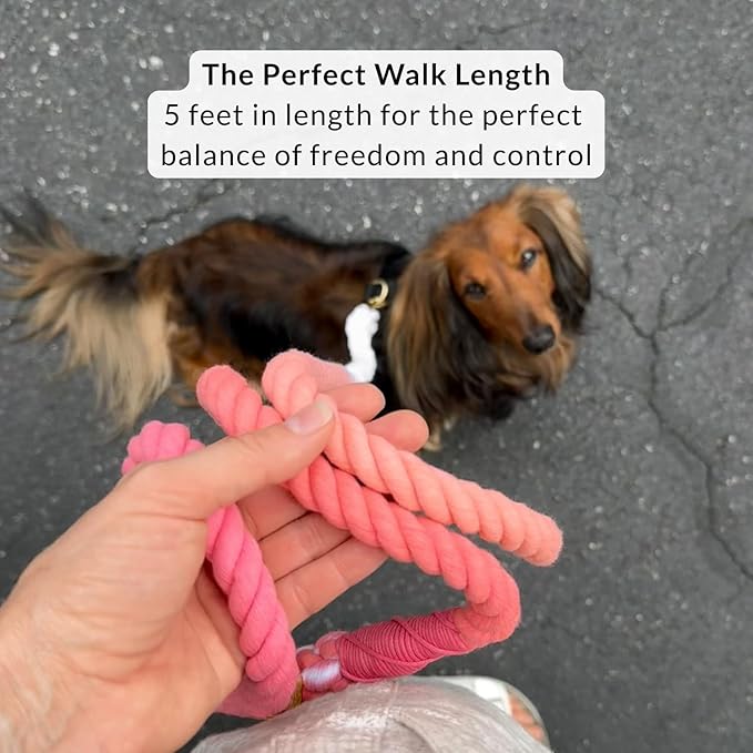 DJANGO Cotton Rope Dog Leash 5ft – Handcrafted Dog Leash and Pink Ombre Braided Leash for Small, Medium, and Large Dogs – Stylish and Durable 5 Foot Training Lead with Silver Hardware – Quartz Pink
