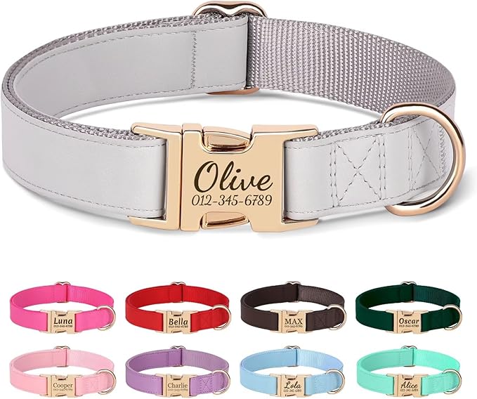 PET ARTIST Personalized Dog Collars, Custom Engraved Dog Collar with Silent Name Tag, Gold Quick Released Buckle & Soft Nylon Padded, Elegant Colors & Matching Leash for Medium Dogs,Gray,M Fit 13-19"