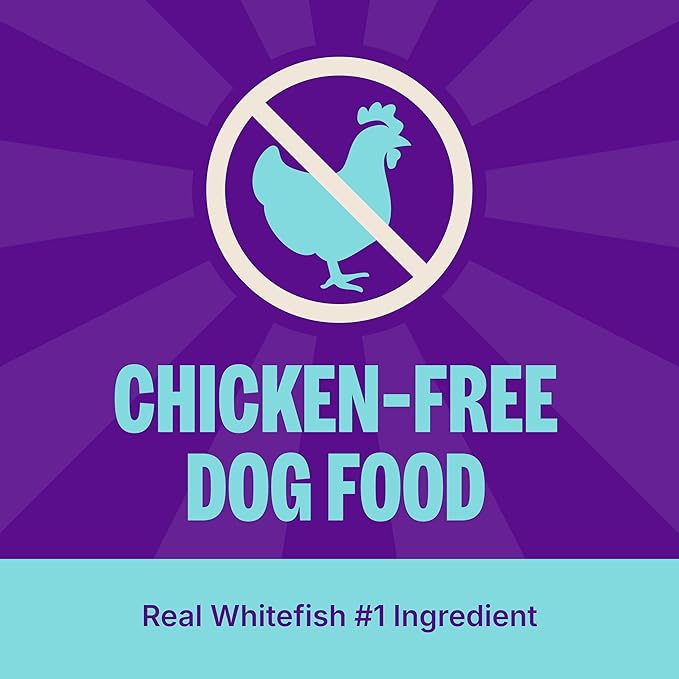 Wellness CORE Digestive Health Dry Dog Food, Wholesome Grains, Natural, Recipe for Dogs with Sensitive Stomachs, Whitefish & Brown Rice, (22-Pound Bag)