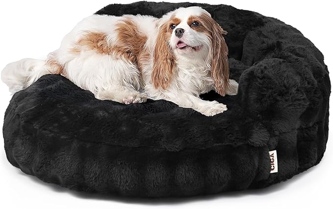 EHEYCIGA Small Dog Bed and Cat Couch for Puppy and Kitten - Fluffy Faux Rabbit Fur Pet Sofa with Washable Removable Cover, Waterproof and Non-Slip, 23 Inch, Black