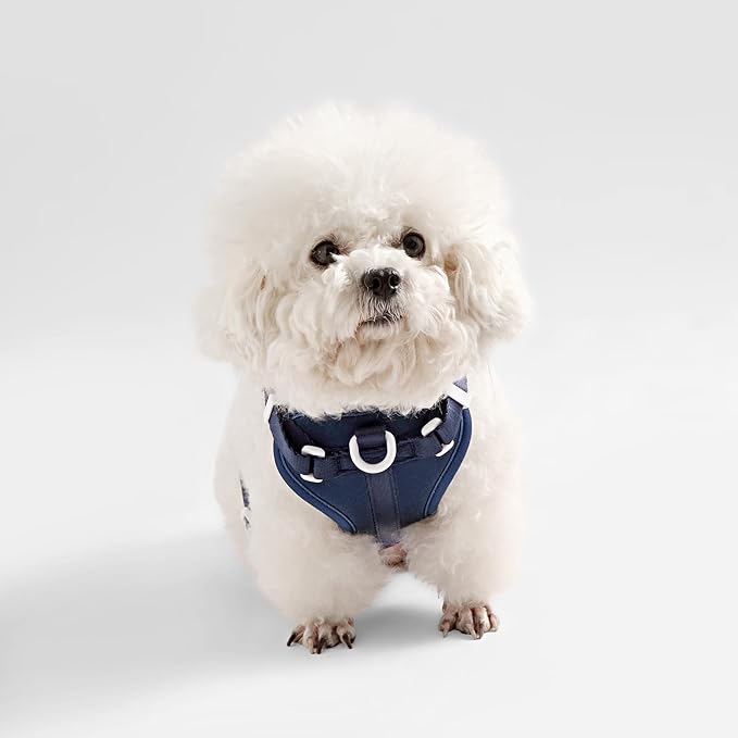 HNS1000J Arlo Extra Small Adjustable Soft Padded No Pull Pet Harness with 3 Buckles and 3 Leash Clips, Highball