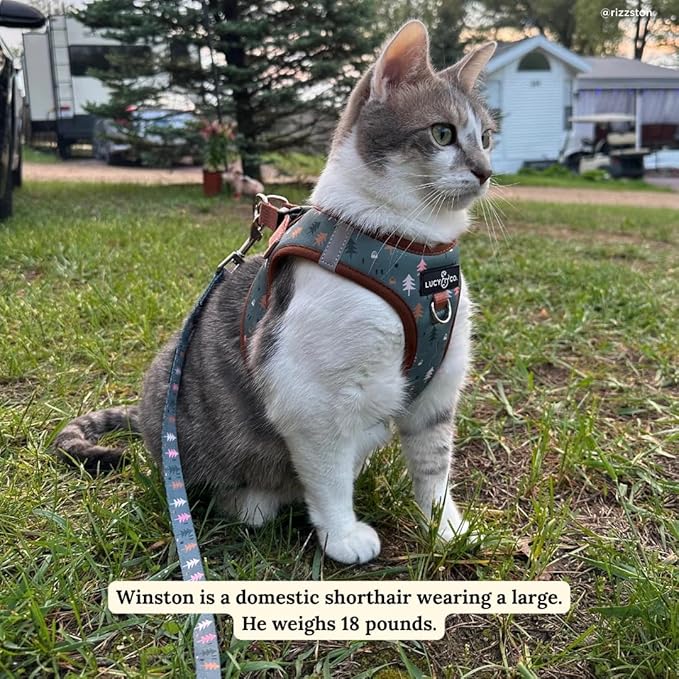 Lucy & Co. Take a Hike Step-in Cat Harness & Leash Bundle – Reflective, Breathable & Adjustable Harness for Cats, Kittens & Small Dogs, Lightweight & Secure and Dual Leash Clips – Medium