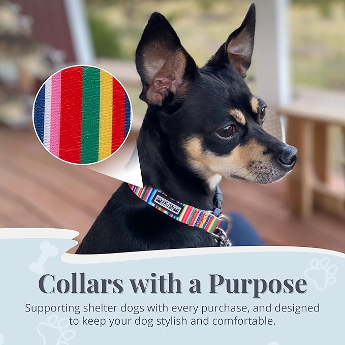 Lucky Love Dog - Adjustable Dog Collar with Easy Click Buckle for Small to Large Ones, Durable, & Comfortable for Male & Female Dogs, Pet Collar for Puppies & Adult Dogs - Hippie, Medium