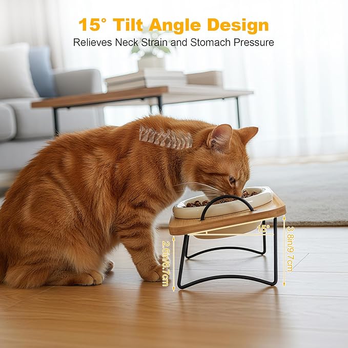 Raised Cat Ceramic Bowls with Wood Stand Kitty Elevated Bowls for Food and Water with Tilted Design Anti-Vomiting, Pet Bowl Set with Stainless Steel Base for Cats and Puppy by TDTOK ﻿