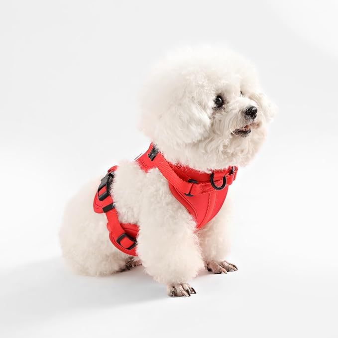 HNS1001M Arlo Small Adjustable Soft Padded No Pull Pet Harness with 3 Buckles and 3 Leash Clips, Shirley
