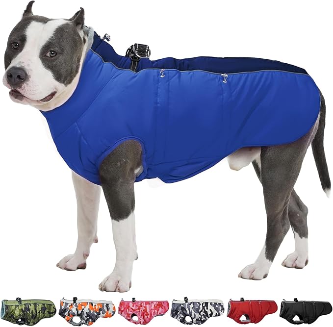 Dog Coat Dog Winter Jacke- XX Large, Warm Zip Up Snowsuit Dog Harness Vest Reflective Water-Resistant Dog Coat Dog Snow Jacket for Large Dogs Border Collie, Pit Bull, Royal-Blue