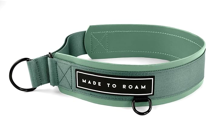 MADE TO ROAM Premium Everyday Dog Collar - Martingale Style No Pull Vegan Leather Collar, Heavy Duty and Lightweight for Small, Medium, Large Dogs (Florida Seaside, Size 6)