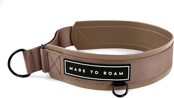 MADE TO ROAM Premium Everyday Dog Collar - Martingale Style No Pull Vegan Leather Collar, Heavy Duty and Lightweight for Small, Medium, Large Dogs (Utah Glow, Size 4)