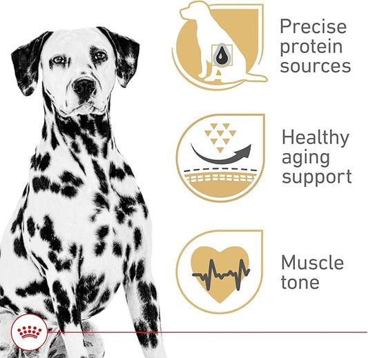 Royal Canin Breed Health Nutrition Dalmatian Adult Dry Dog Food, 30 lb Bag