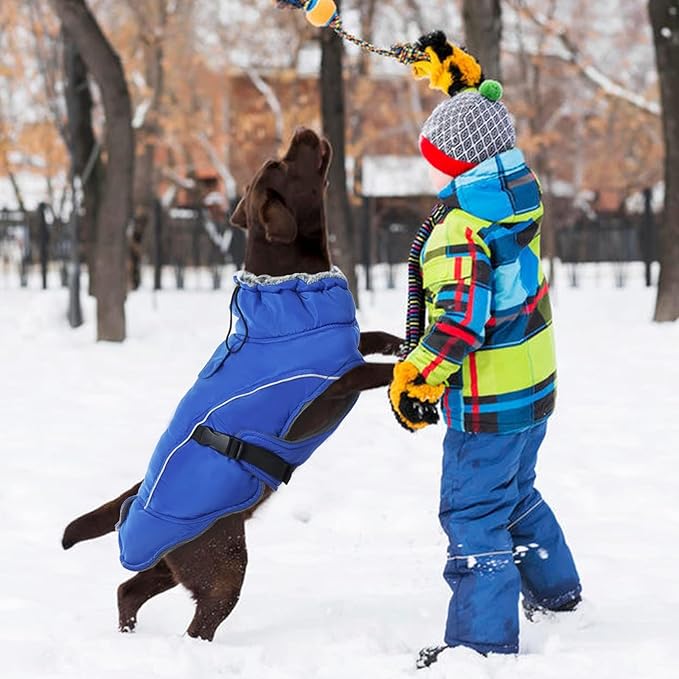 DENTRUN Winter Warm Dog Coat Reflective Jacket with Turtleneck for Cold Weather, Adjustable Buckle Windproof Water Repellent, Thick Snowsuit Fleece Vest for Small, Medium, Large Dogs, Blue, XXXL