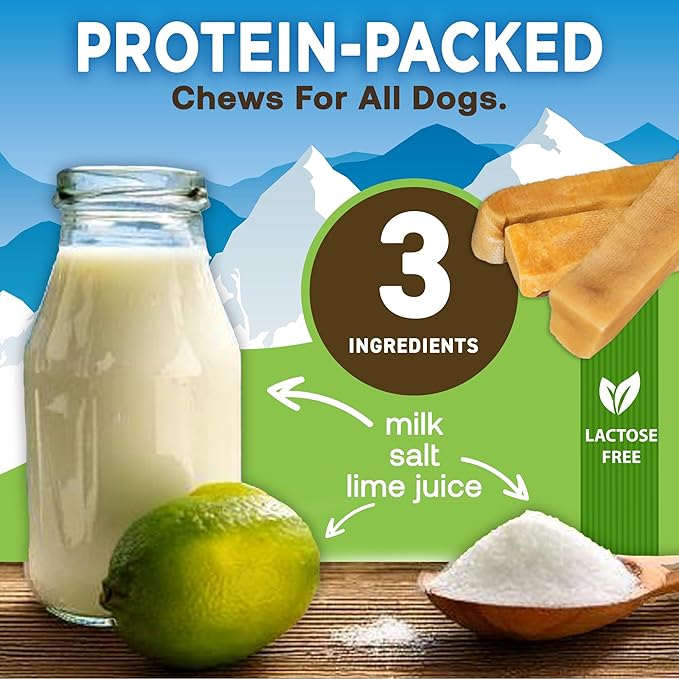 EcoKind Premium Gold Yak Cheese Himalayan Dog Chews, Dog Treats Large Breed, All Natural, High Protein Dog Chew, Cheese, Large - 3 Chews