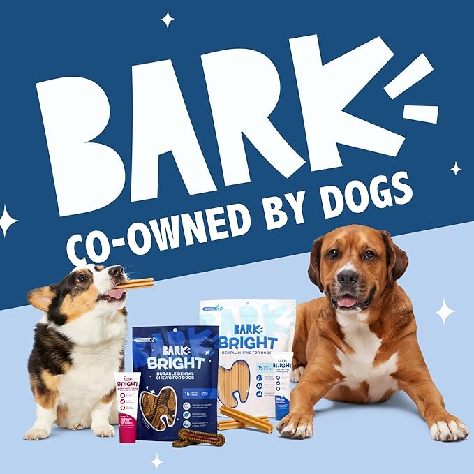 Barkbox Bright Original Dog Dental Kit, 30 Teeth Cleaning Chew Sticks & Toothpaste, Large Breeds