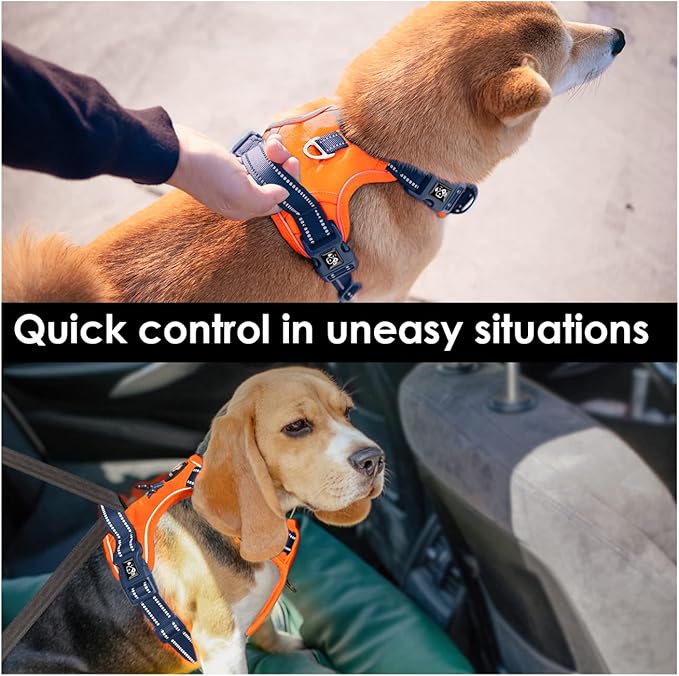 PHOEPET No Pull Dog Harness, Unique Colors Reflective Adjustable Dog Vest, with Soft Training Handle Metal Clips for Small Medium Large Dogs (Orange Base & Blue Straps,L)