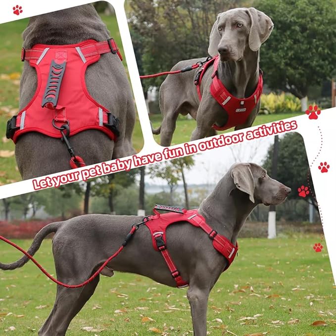 Dog Harness No Pull Adjustable Reflective,for Medium and Large Small Dog with Leash 59.06in (Red, XS)