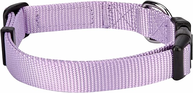 Blueberry Pet Essentials Matching Dog Collar and Leash Set in Lavender, Adjustable Classic Solid Color Nylon Collar with 4 ft Leash for Large Dogs