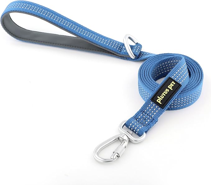 Plutus Pet Heavy Duty Dog Leash with Lockable Aluminum Carabiner, 4/6 Feet Long, Double-Sided Reflective Nylon, Padded Handle, for Puppy, Small, Medium and Large Dogs (Blue, 1" x 4')