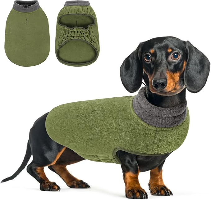 Queenmore Soft Fleece Dog Jacket, Warm Winter Coat with Elastic Stretchable, Dachshund Sweaters for Small Dogs Cats Boy or Girl (Green, S)
