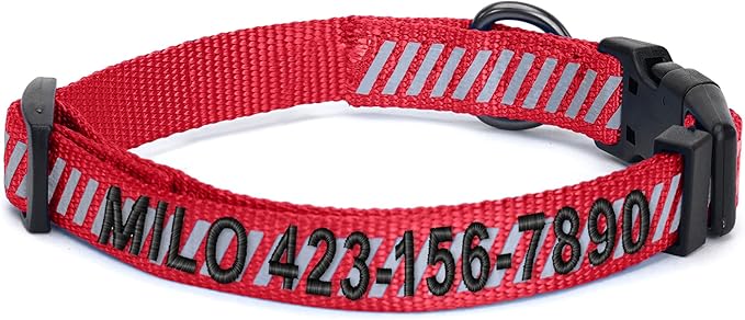 Pawtitas Reflective Dog Collar - Personalized Name & Phone Number, Adjustable for Extra Small Dogs & Puppies - Red