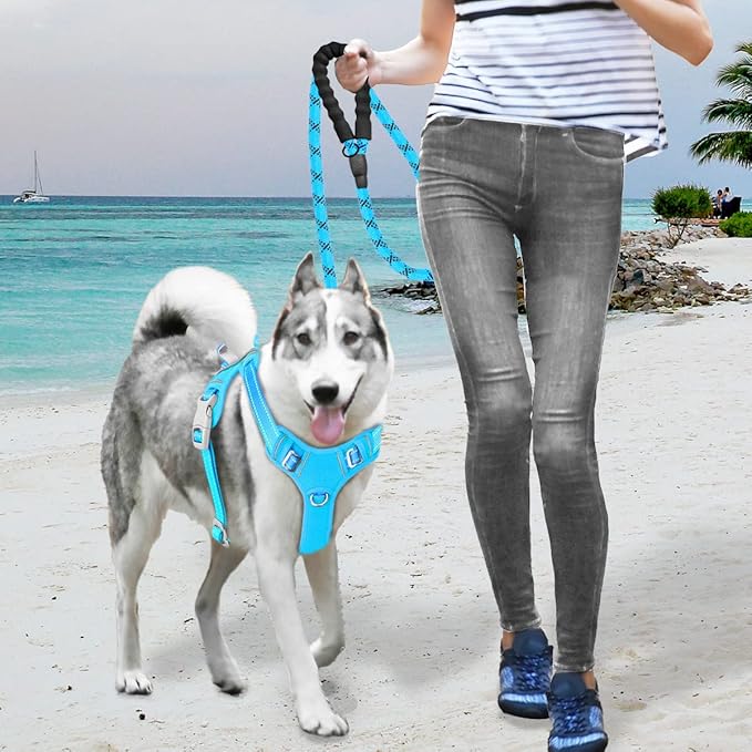 BARKBAY No Pull Dog Harness Large Reflective Dog Harness with Front Clip and Easy Control Handle for Walking Training Running with ID tag Pocket(Blue,M)