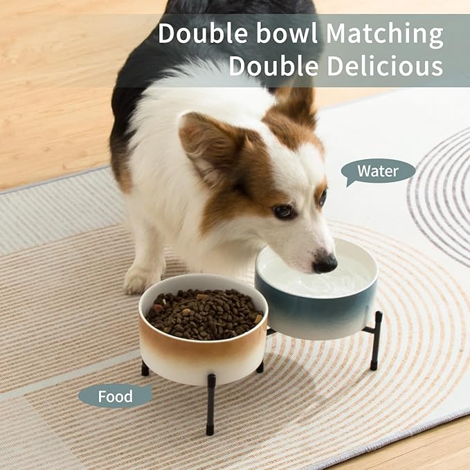 32 OZ Ceramic Dog Cat Bowl with Elevated Metal Stand, 6 Inch Ceramic Pet Dish for Food and Water, Pet Feeder Bowls for Cats & Dogs - Set of 2, Blue & Brown
