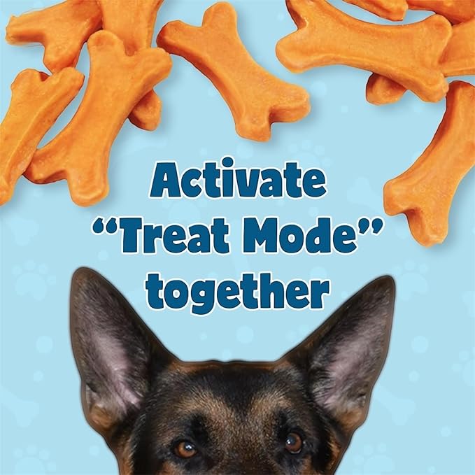 Treaty Healthy Pumpkin Puree Chicken Dog Treats Baked Bone Shape All Natural Grain Free Human Grade Ingredients 16oz