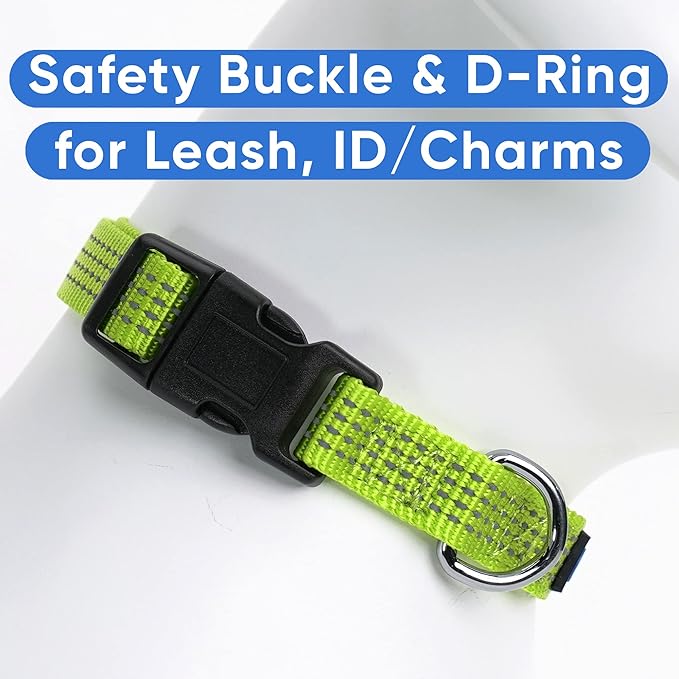 Pawtitas Reflective Dog Collar Adjustable Dog Collars for Medium Dogs Puppy Collar Medium Dog Collar Green Dog Collar
