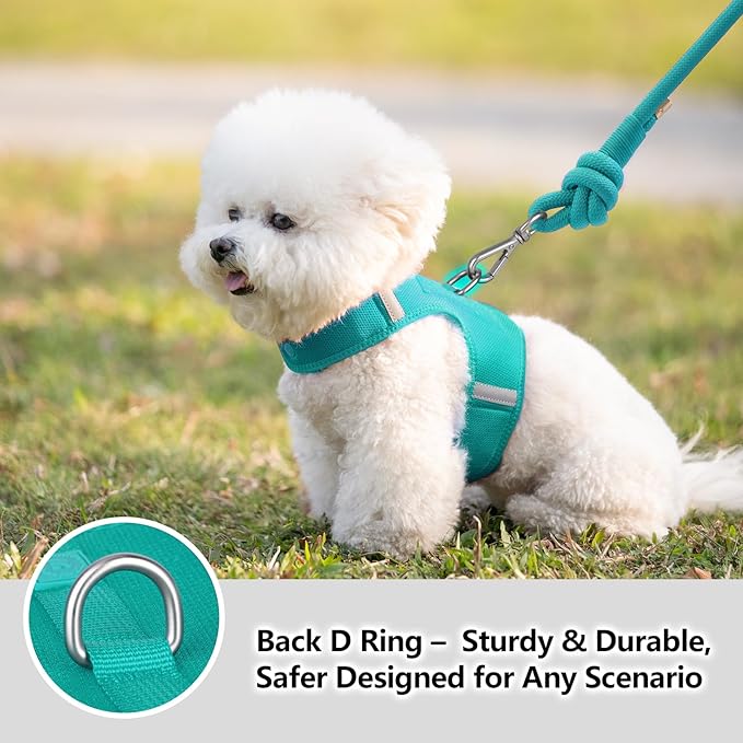 Dog Harness for Puppy – Adjustable Reflective Easy Put On Soft Mesh Vest for Small Dogs with 2 Patches (MARRS Green,L)