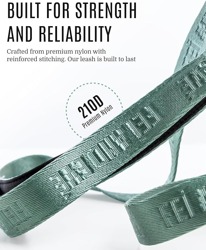 2025 New Edition, Fei & Eve Classic Dog Leash - 6FT, Dual Padded Handles, 360° Swivel Hook, Heavy Duty 210D Nylon - No-Pull Design with Traffic Control Handle - for Small/Medium/Large Dogs, Green
