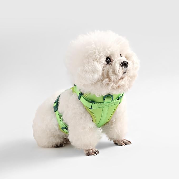 HNS1000B Arlo Extra Small Adjustable Soft Padded No Pull Pet Harness with 3 Buckles and 3 Leash Clips, Mojito