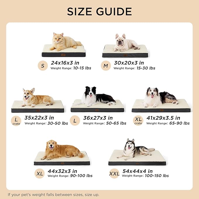 Bedsure Dog Bed for Small Dogs - Comfy Flat Puppy Beds with Removable Washable Cover, Orthopedic Egg Crate Foam Pet Mat, Suitable for Pet Up to 15 lbs