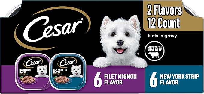 Cesar Filets in Gravy Adult Wet Dog Food Variety Pack, Filet Mignon and New York Strip Flavors, 3.5 oz. Easy Peel Trays, Variety Pack of 12