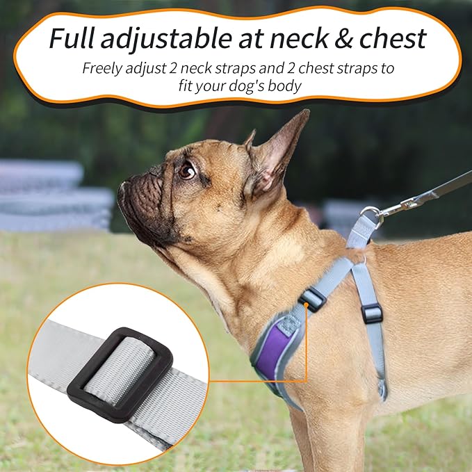 Dog Harness with Leash Set, Adjustable Step in Collars Harness with Breathable Padded Vest for Large Dog Training and Running (L, Purple)