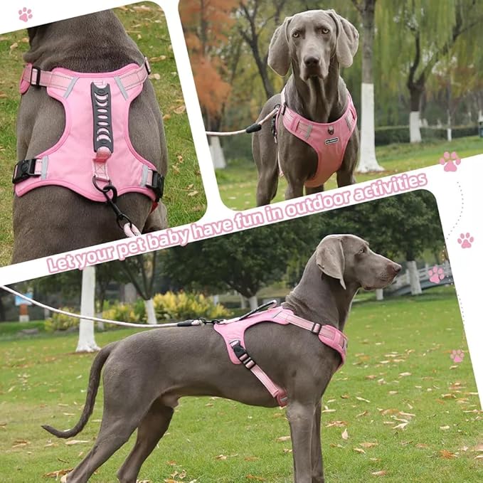 Dog Harness No Pull Adjustable Reflective,for Medium and Large Small Dog with Leash 59.06in (Pink, M)