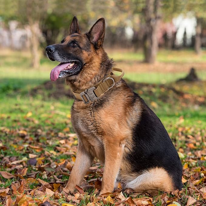 Tactical Dog Collar with Handle - Military Adjustable Dog Training Collar Soft Nylon and Heavy Duty Metal Buckle for Medium Large Dogs - with Patch (Brown, X-Large)