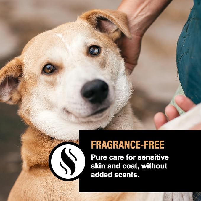 Dog Skin & Coat Lotion – Fragrance-Free Moisturizing Dog Treatment for Dry, Itchy Skin – Hydrating Skin & Coat Supplement for Pups – 4 fl oz