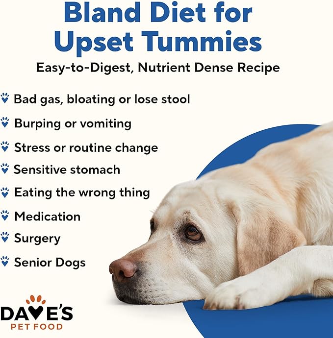 Dave's Dog Food Bland Diet Dog Food for Sick Dogs with Upset Stomach (Chicken & Rice), Economy Size for Large Pups or Big Eaters, Sensitive Stomach, 22 oz (Case of 12)