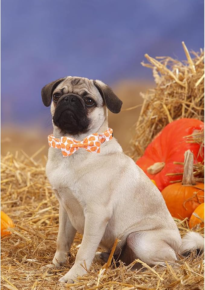 Lionheart Glory Halloween Dog Collars - Adjustable Heavy Duty Bowtie Collar for Large Dogs